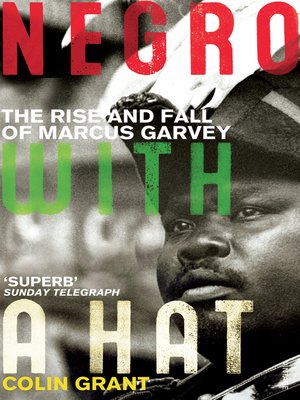 Negro with a Hat - ebook